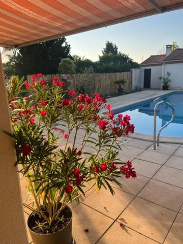 Les Voyages De Louison Bed & Breakfast Lavardac Bagian luar foto